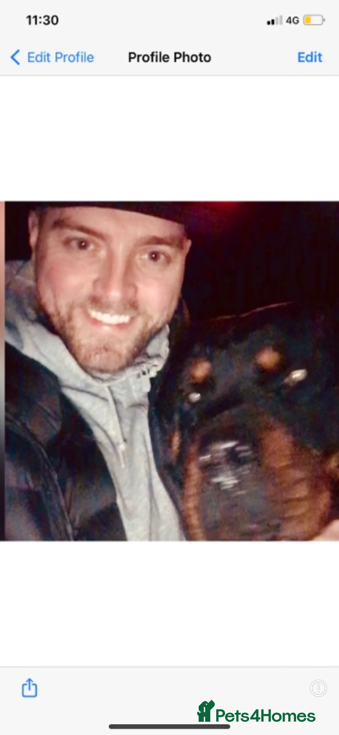 Rottweiler dogs for stud: The legendary KIMBO BOSS MAN. Serbian import KC! in Leicester - Advert 2