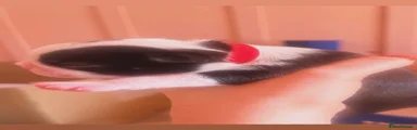 Boston Terrier 3- Red