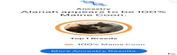 Maine Coon cats for sale: Purebred Maine Coon Kittens in Lisburn - Advert 3