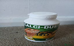 Bearded Dragon reptiles for sale: Bearded Dragon and full set up - Advert 7