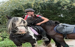 Irish Cob horses for sale: 13.1 Cob Mare - Your Child’s next Best Friend! 🩷 - Image 4