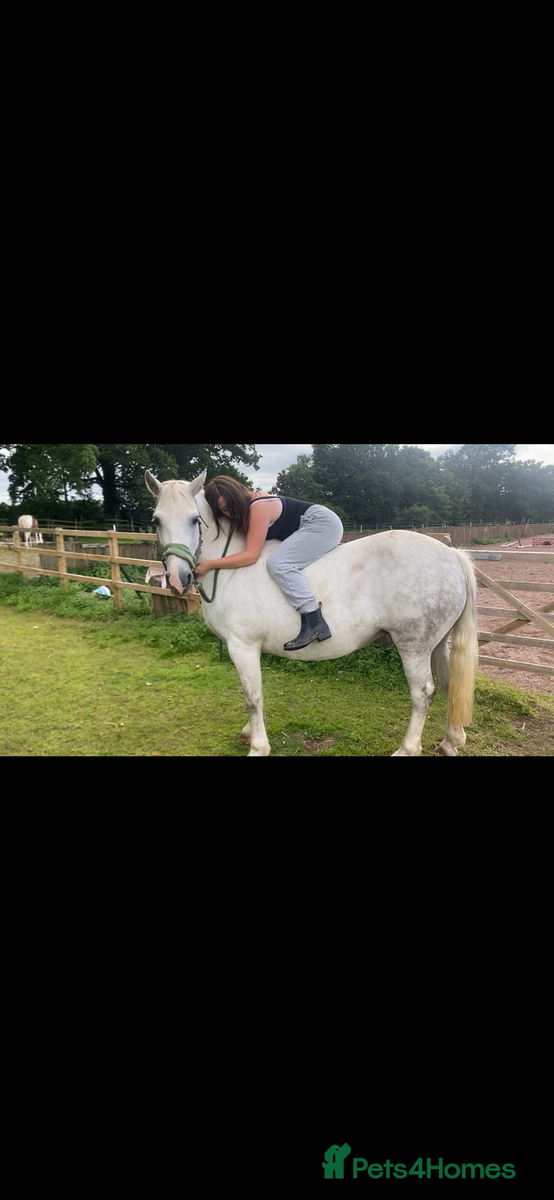 Connemara horses for sale: 💖BARBARA💖 - Image 4