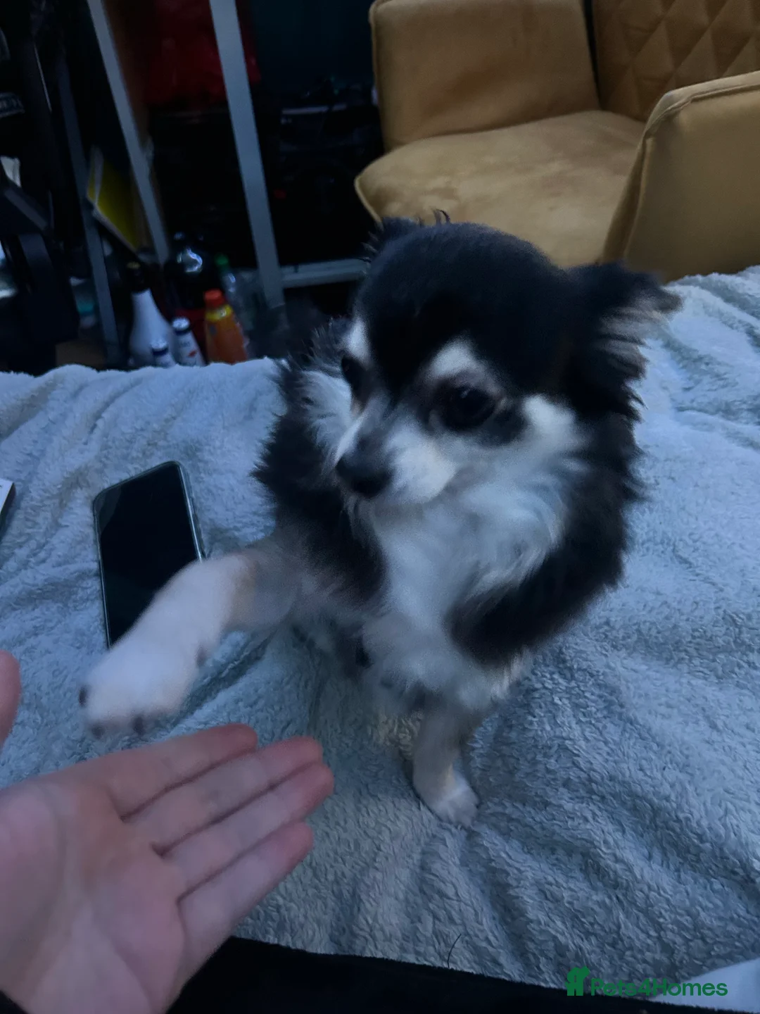 Gallery Image {{count}}