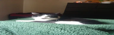 Astro