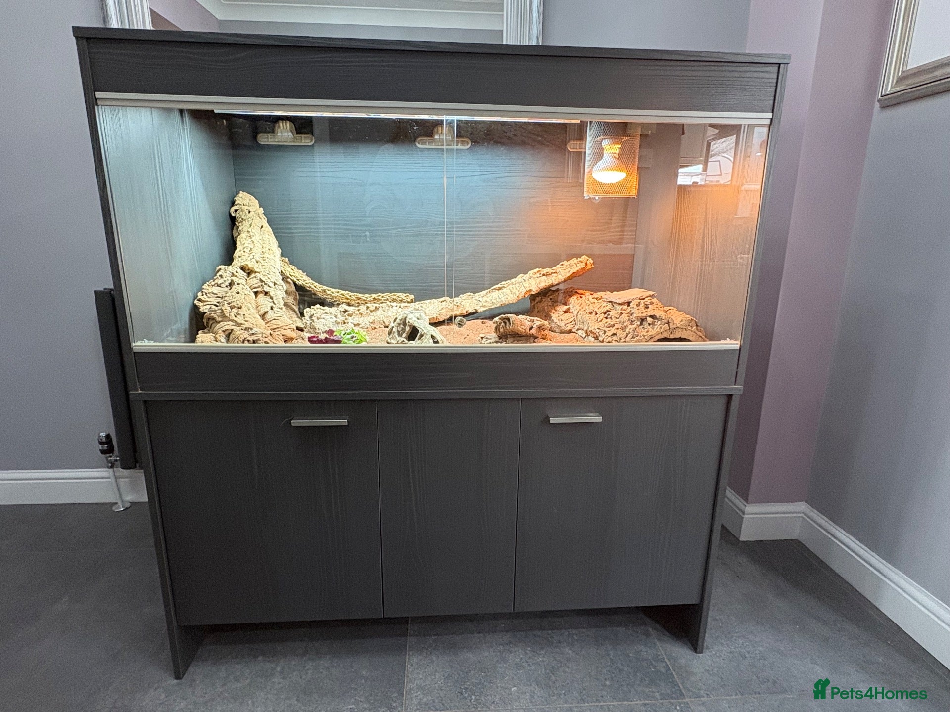 Bearded Dragon reptiles Vivexotic viv enclosure cabinet bearded dragon - Advert 1