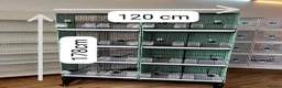 Mixed Breed birds for sale: Bird cage  - Advert 2