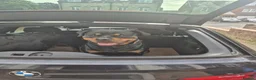 Rottweiler dogs for sale: RKC Registered Traditional Rottweiler Puppies  - Advert 3