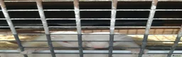 Ferret rodents for sale: 4 white ferrets in Rotherham - Advert 2