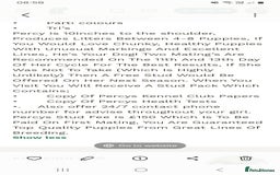 Cockapoo dogs for sale: Gorgeous F1B cockapoo  - Advert 6