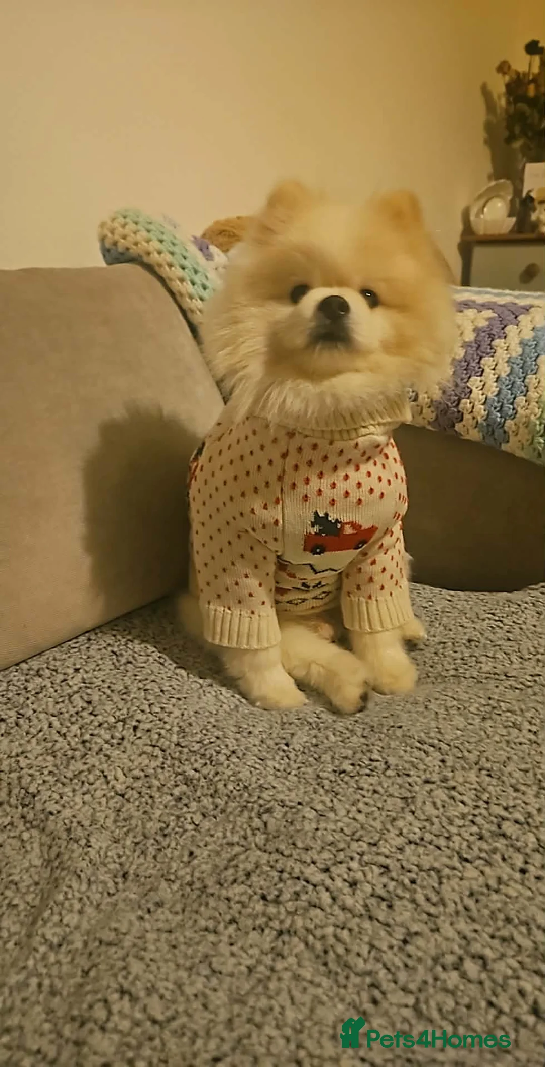 Gallery Image {{count}}