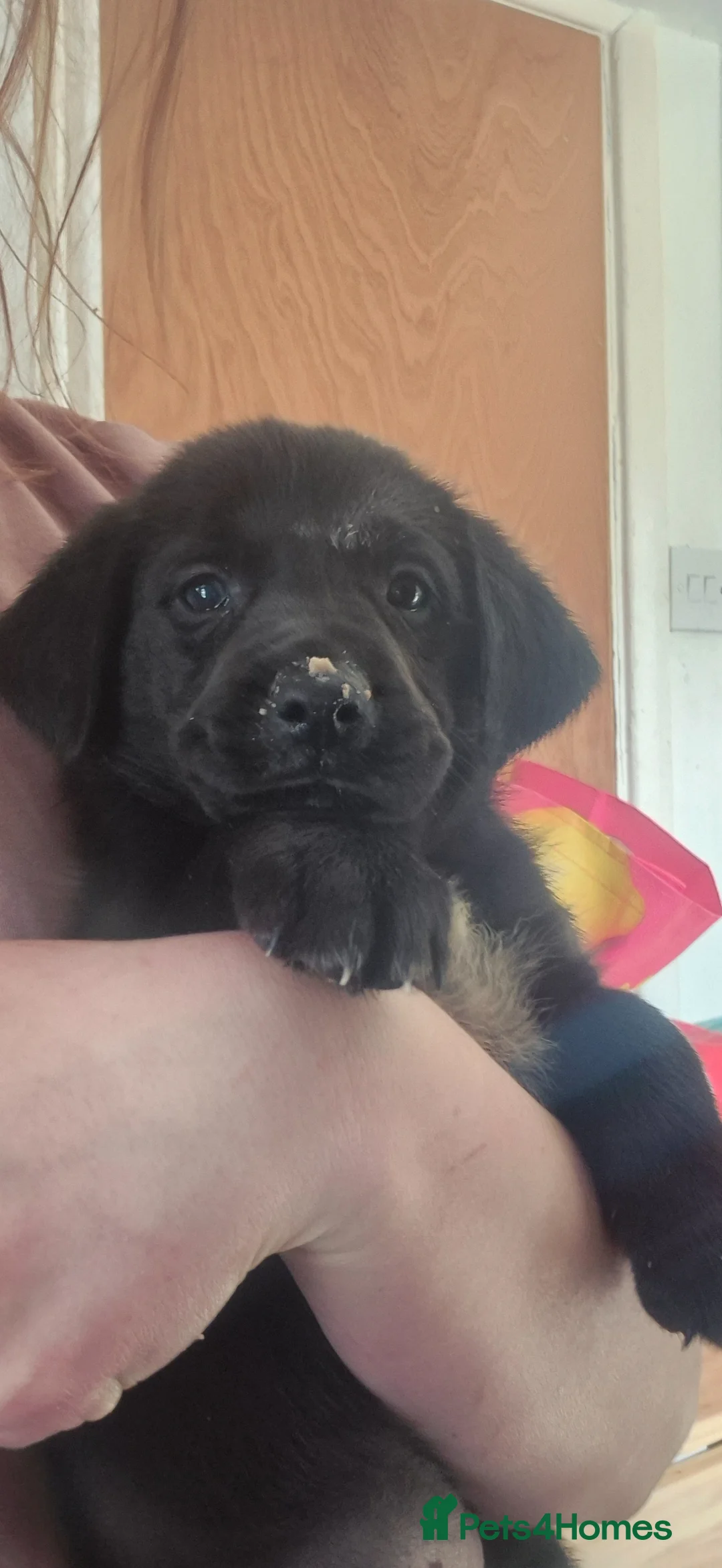 Gallery Image {{count}}