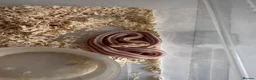 Corn Snake reptiles for sale: Corn snakes cb26 and cb25 available  - Advert 8
