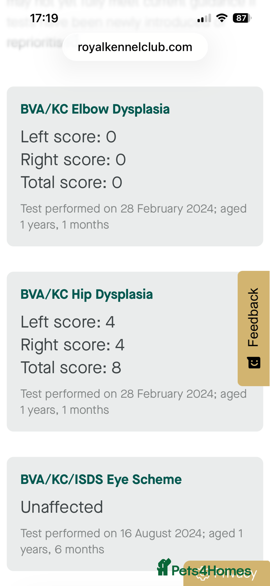 Labrador Retriever dogs for sale: Labrador Puppies - Advert 9