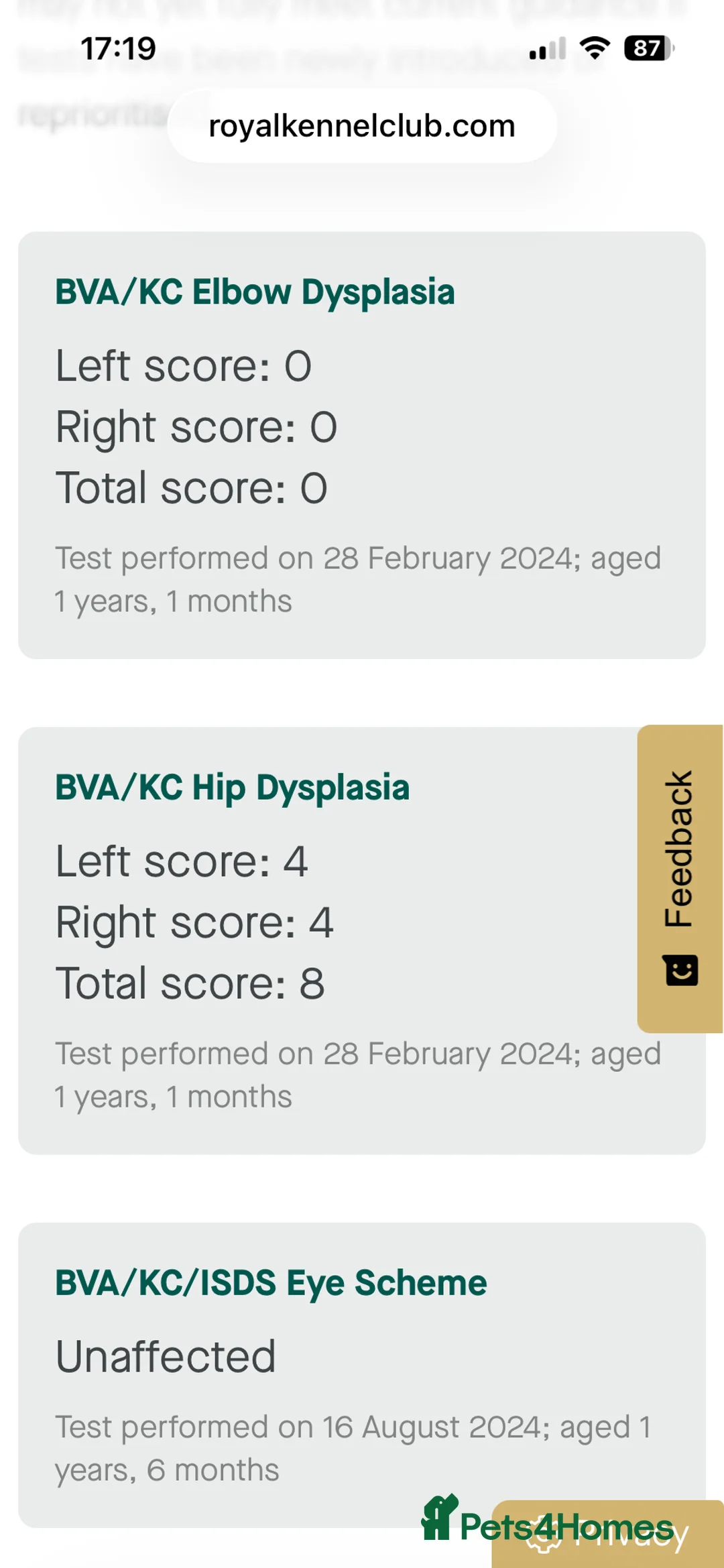 Labrador Retriever dogs for sale: Labrador Puppies - Advert 9