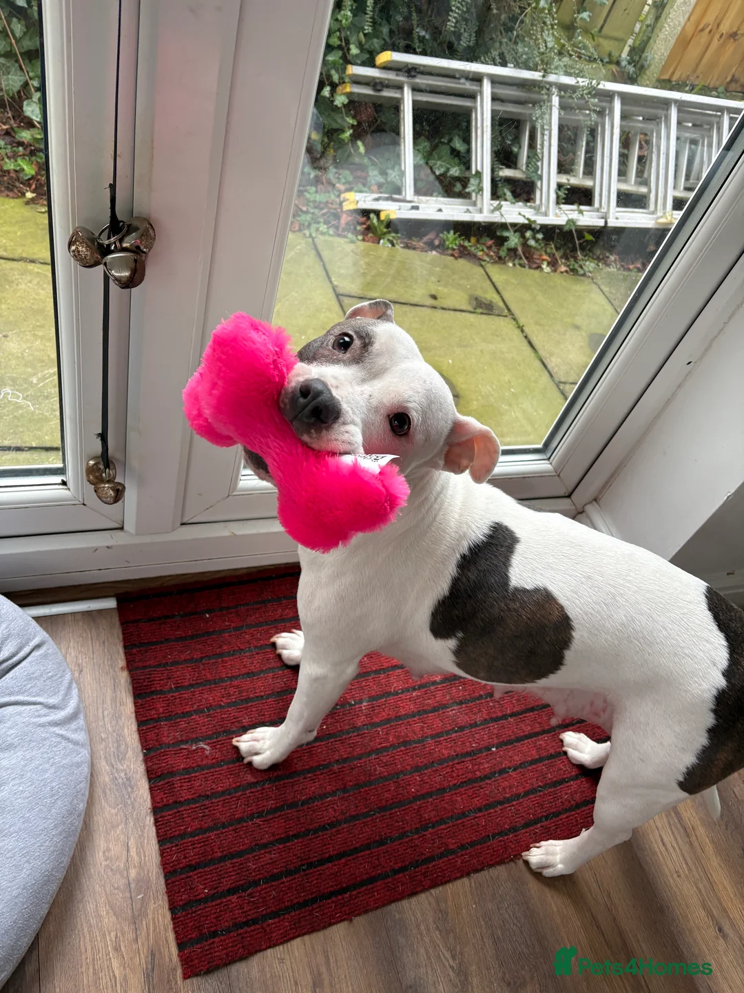 Gallery Image {{count}}