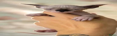 Sphynx 1
