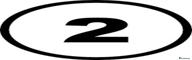 pet 2
