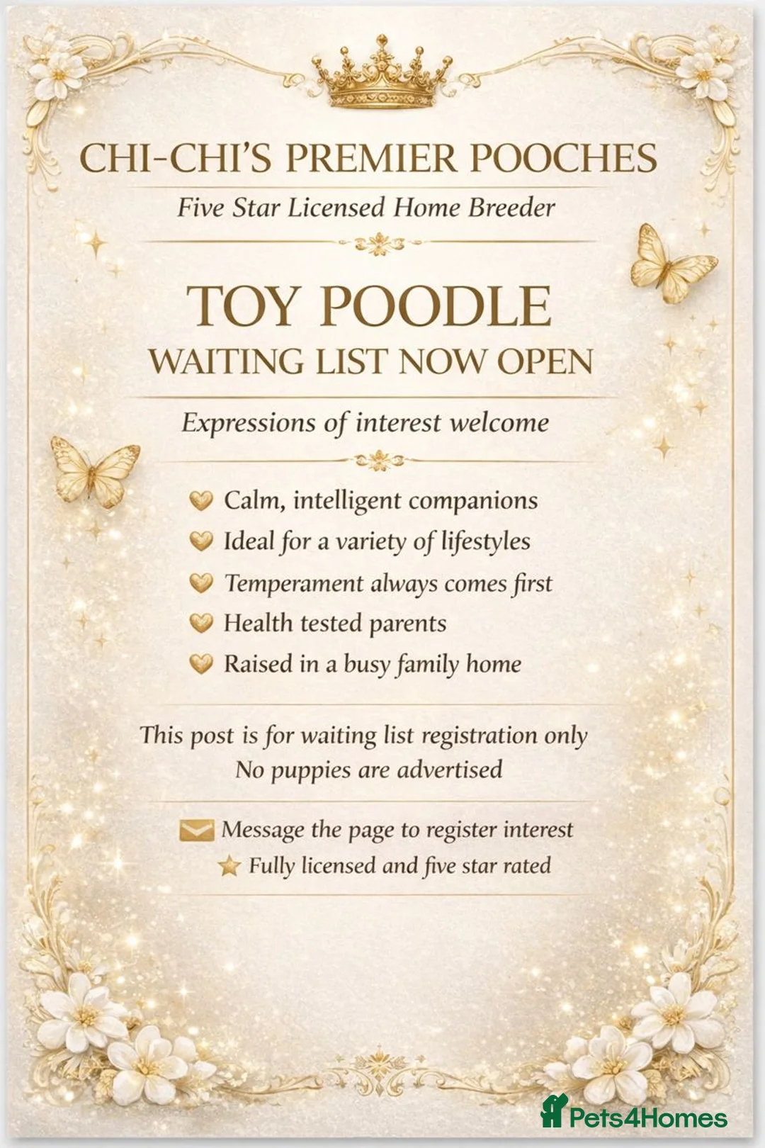 Toy Poodle dogs for sale: WAITING LIST Toy poodle waiting list  - Advert 1
