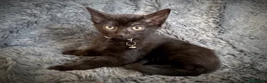 Black male