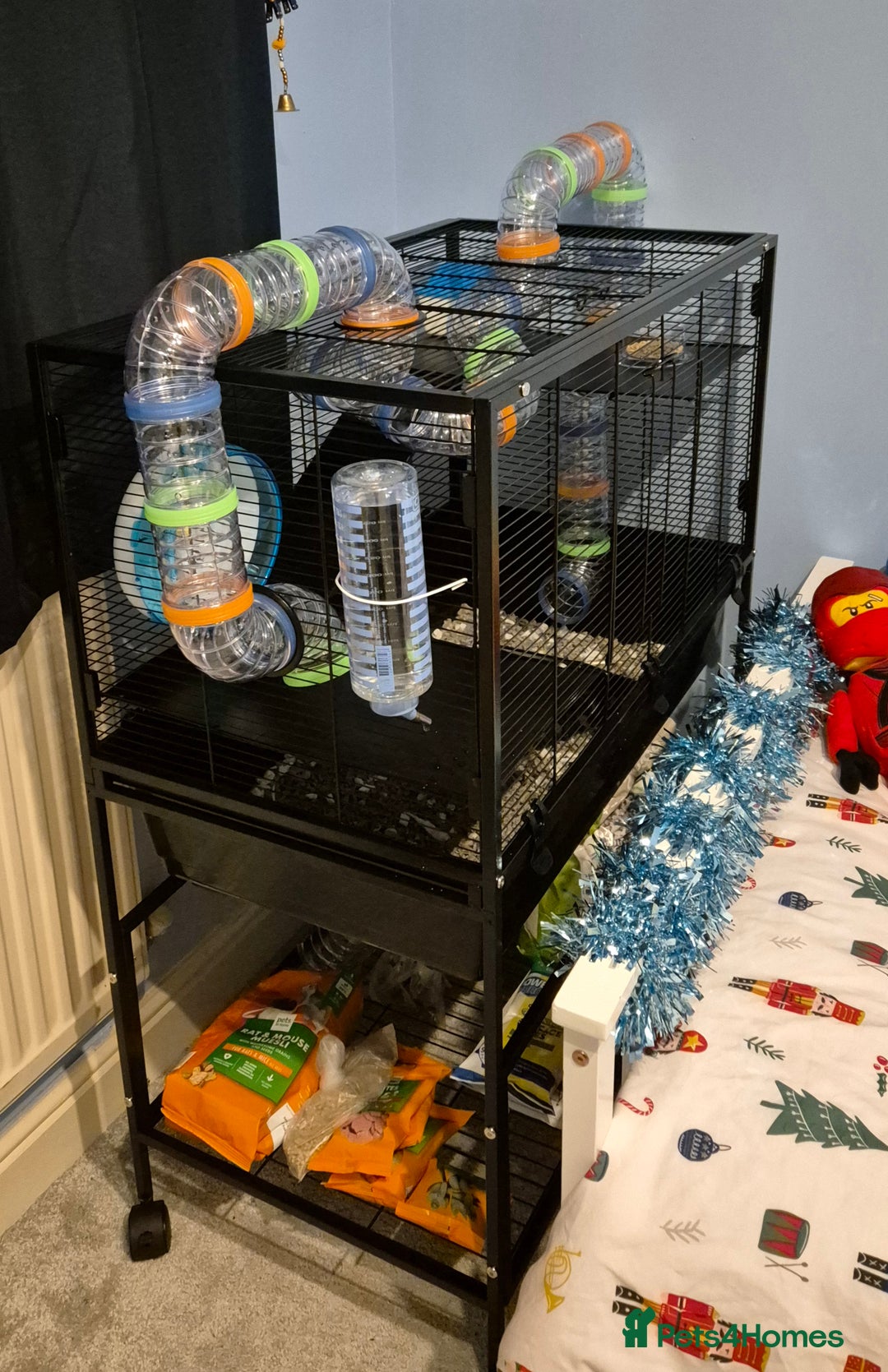 Rat rodents for sale: 2 males rats and set up  - Advert 5