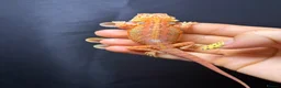 Bearded Dragon reptiles for sale: Hypo, Trans Blue bar leatherback and standard back in Southsea - Advert 10
