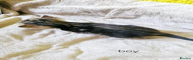 Marble horizontal melanistic