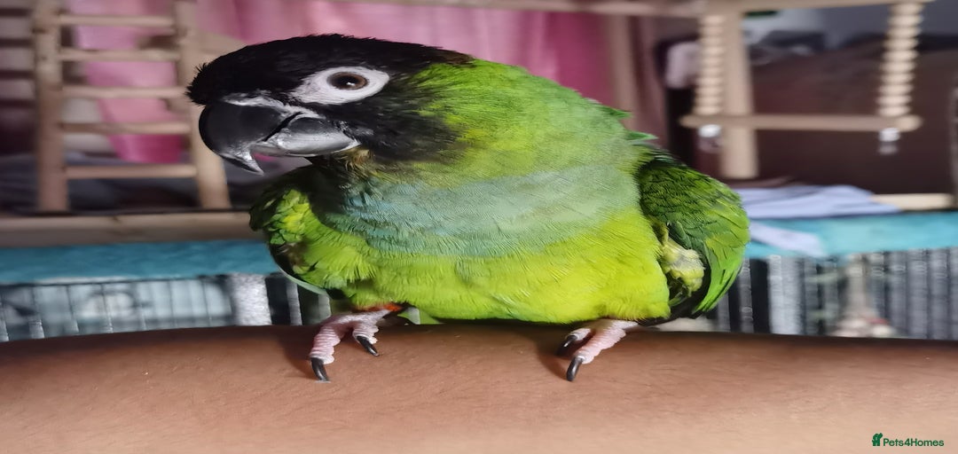 Gallery Image {{count}}