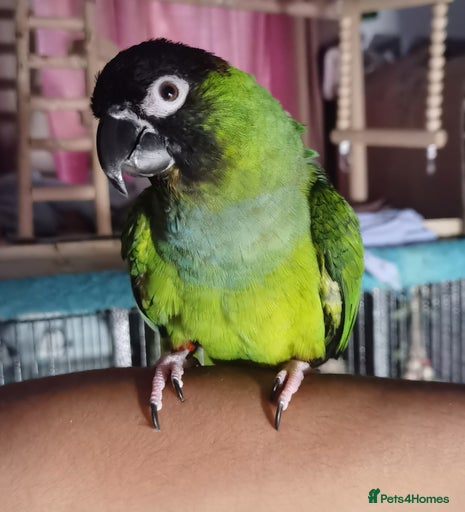 Gallery Image {{count}}