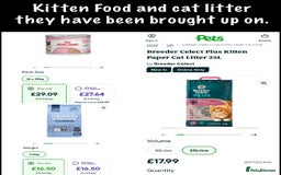 Mixed Breed cats for sale: Beautiful kittens Ready Now ( Kitten pack) - Image 35