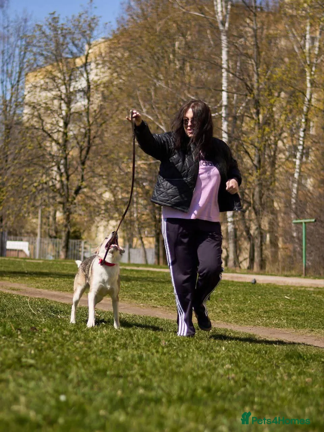 Mixed Breed dogs for adoption: FOSTER/ADOPT:❤️NINA hopes the world can be kind - Advert 22