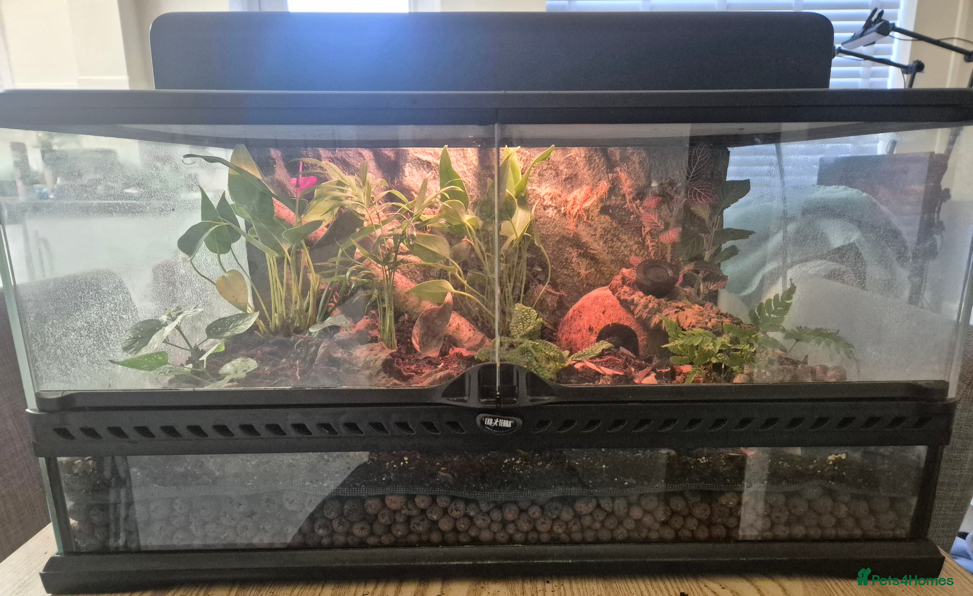 Mixed Breed reptiles Exo terra bio-active terrarium & canopy  - Advert 1