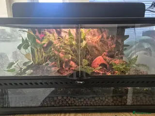 Mixed Breed reptiles Exo terra bio-active terrarium & canopy - Advert 1