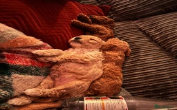 Cockapoo dogs for sale: Cockapoo puppies - Image 5