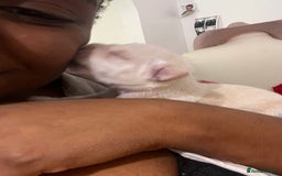Mixed Breed dogs for sale: 🐾 Loving Homes Wanted for Two Puppies & Dad 🐾 - Image 17