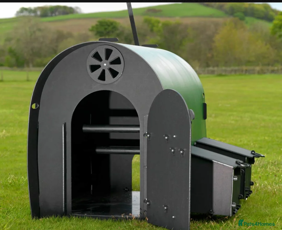 Chickens poultry for sale: Recycled Coop Run only  NO maintenance - Advert 12