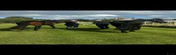 Friesian horses for sale: 15.3 black Friesian gelding, 11 yrs - Advert 9