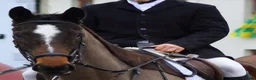Irish Sports horses for sale: Fantastic opportunity to produce  - Advert 8