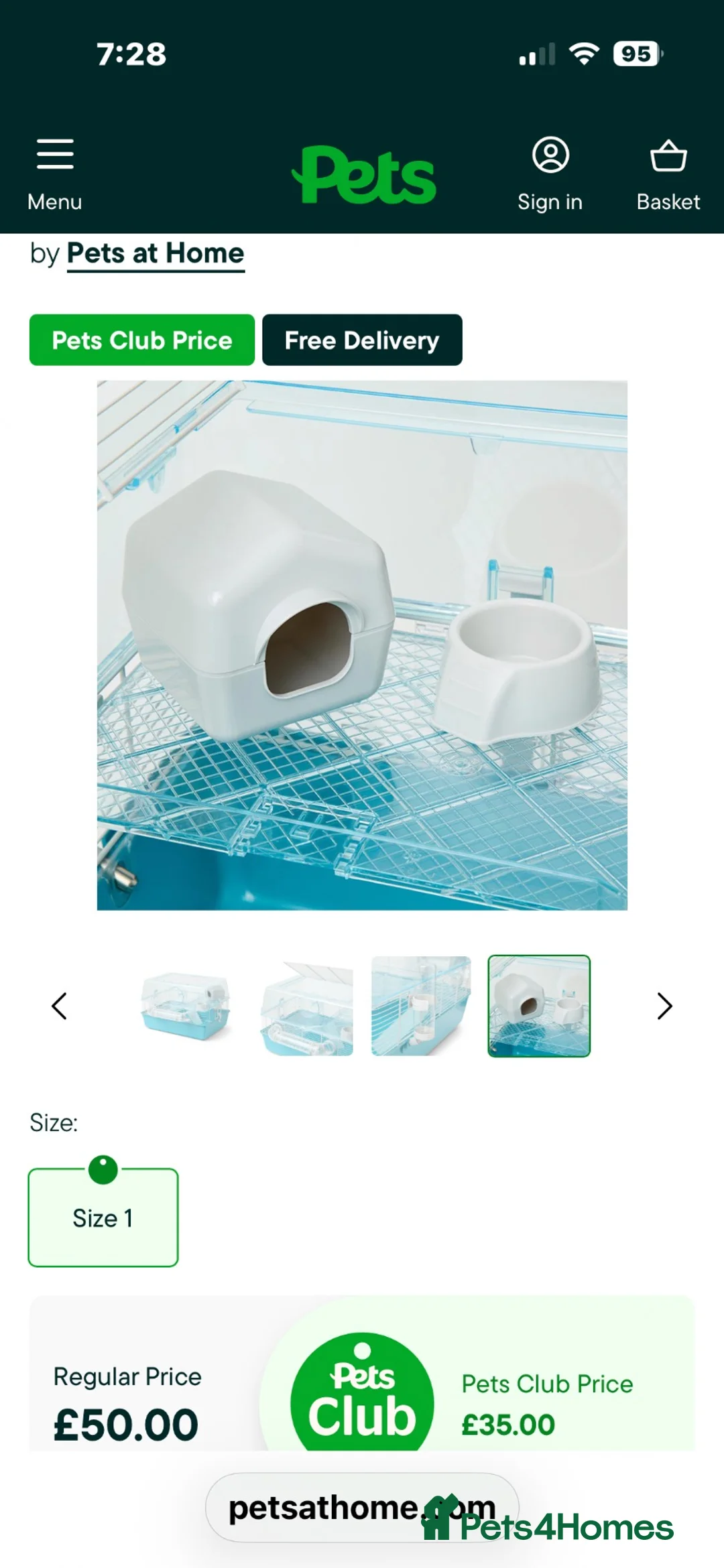 Hamster rodents for sale: Albino Dwarf Hamster  - Advert 8