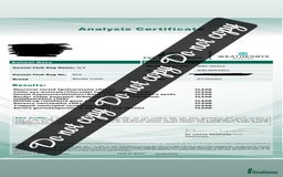 Border Collie dogs for stud: Health tested & Proven Blue Merle Border collie  in Wolverhampton - Image 3