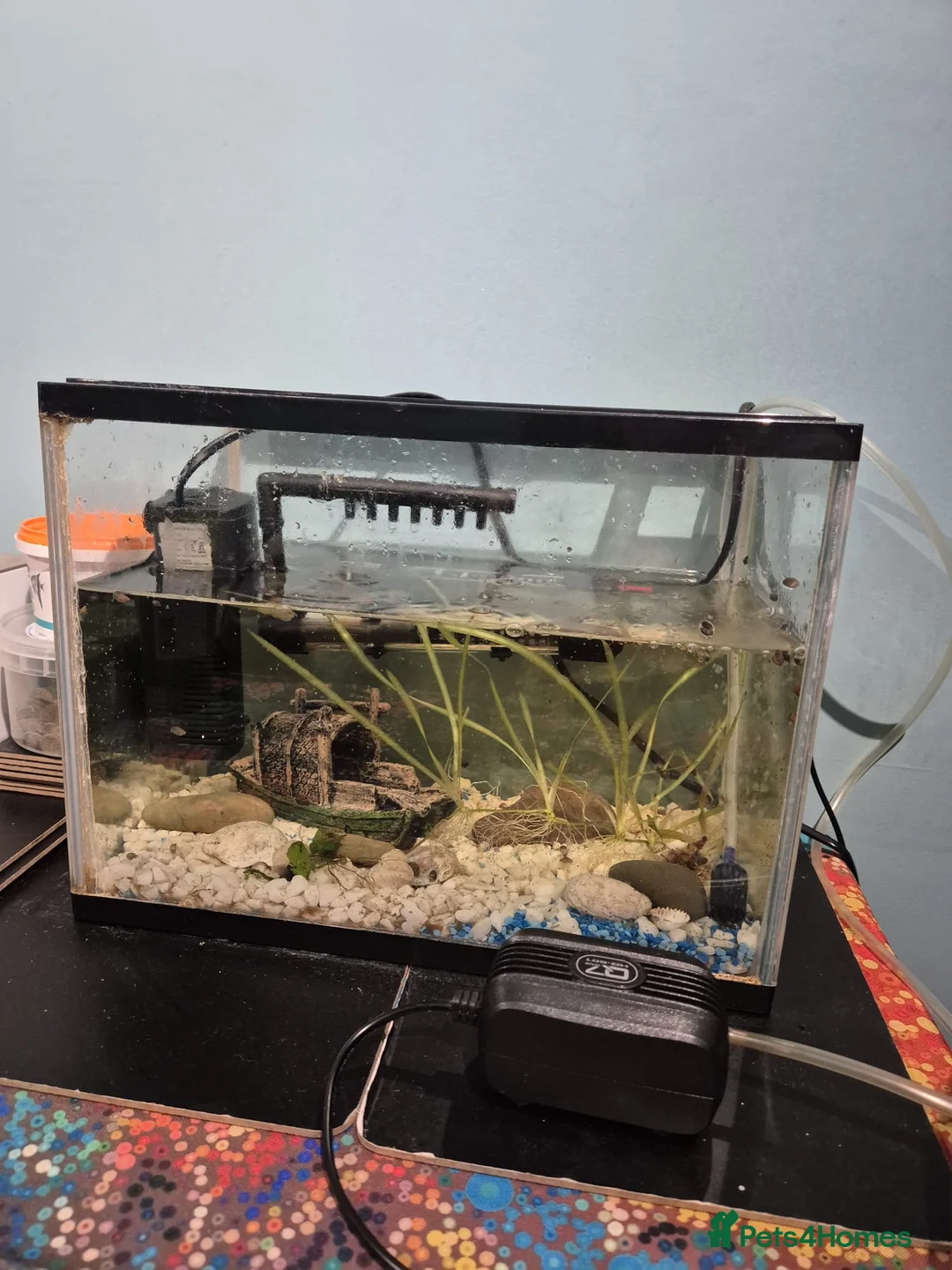 Other/Mixed Breed fish for sale: Fluvel fish tank complete set up  - Advert 19