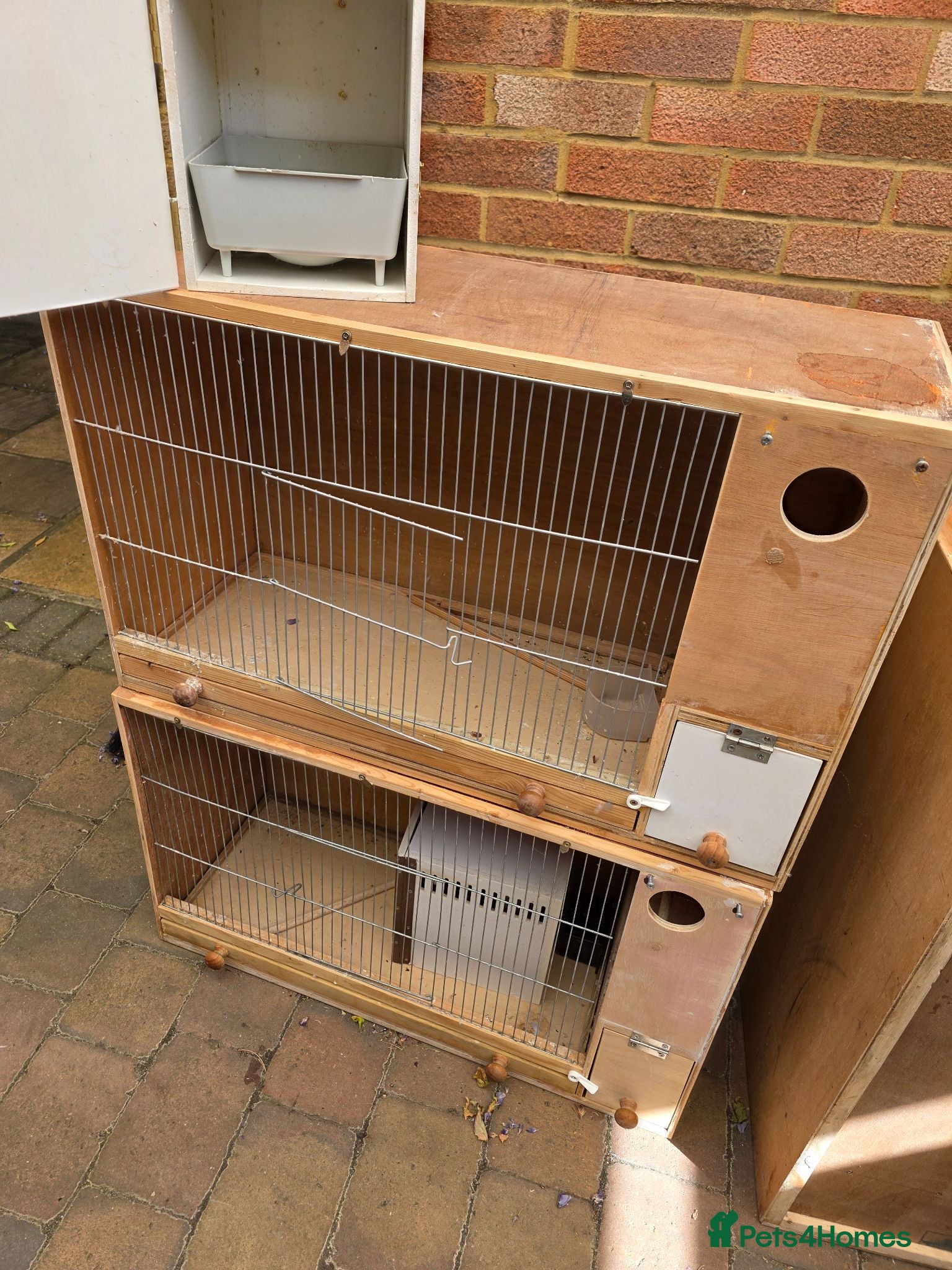 Budgerigars birds Wooden Budgie Breeding cages - Advert 1