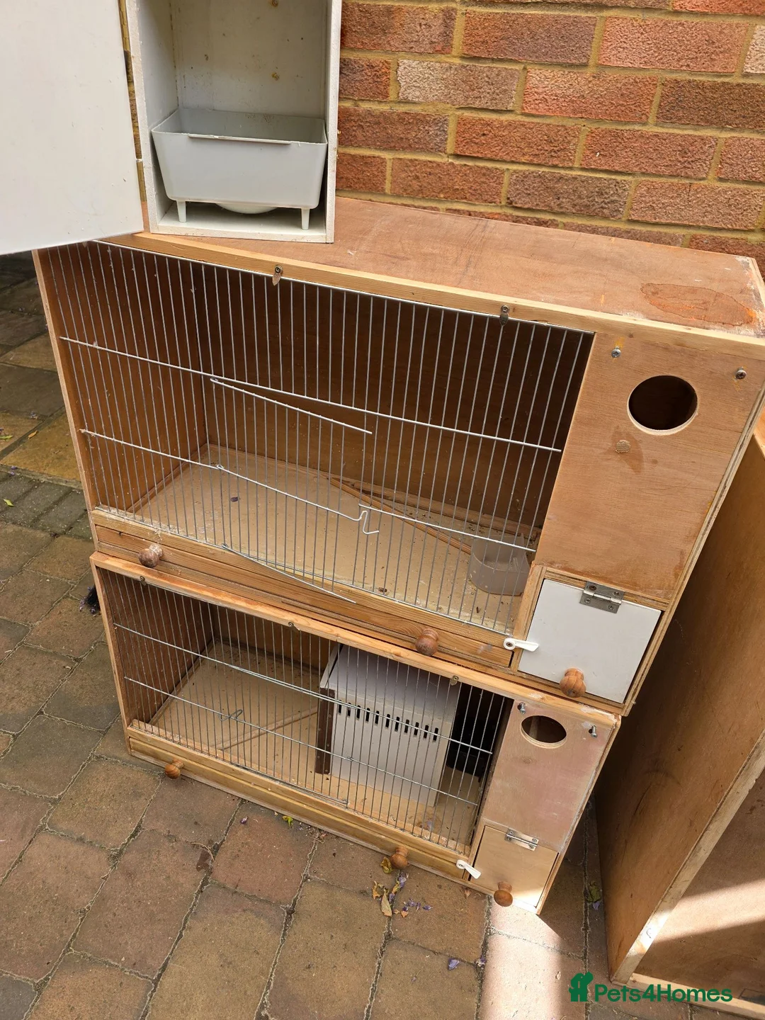 Budgerigars birds for sale: Wooden Budgie Breeding cages - Advert 1
