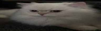 Pe
