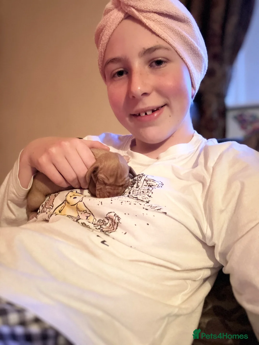 Hungarian Vizsla dogs for sale: KC registered Hungarian Vizsla puppies.  in Mansfield - Advert 6