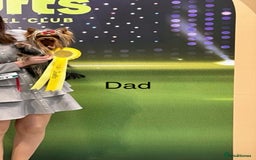 Yorkshire Terrier dogs for sale: Absolutely adorable mini yorkie puppies  - Image 15