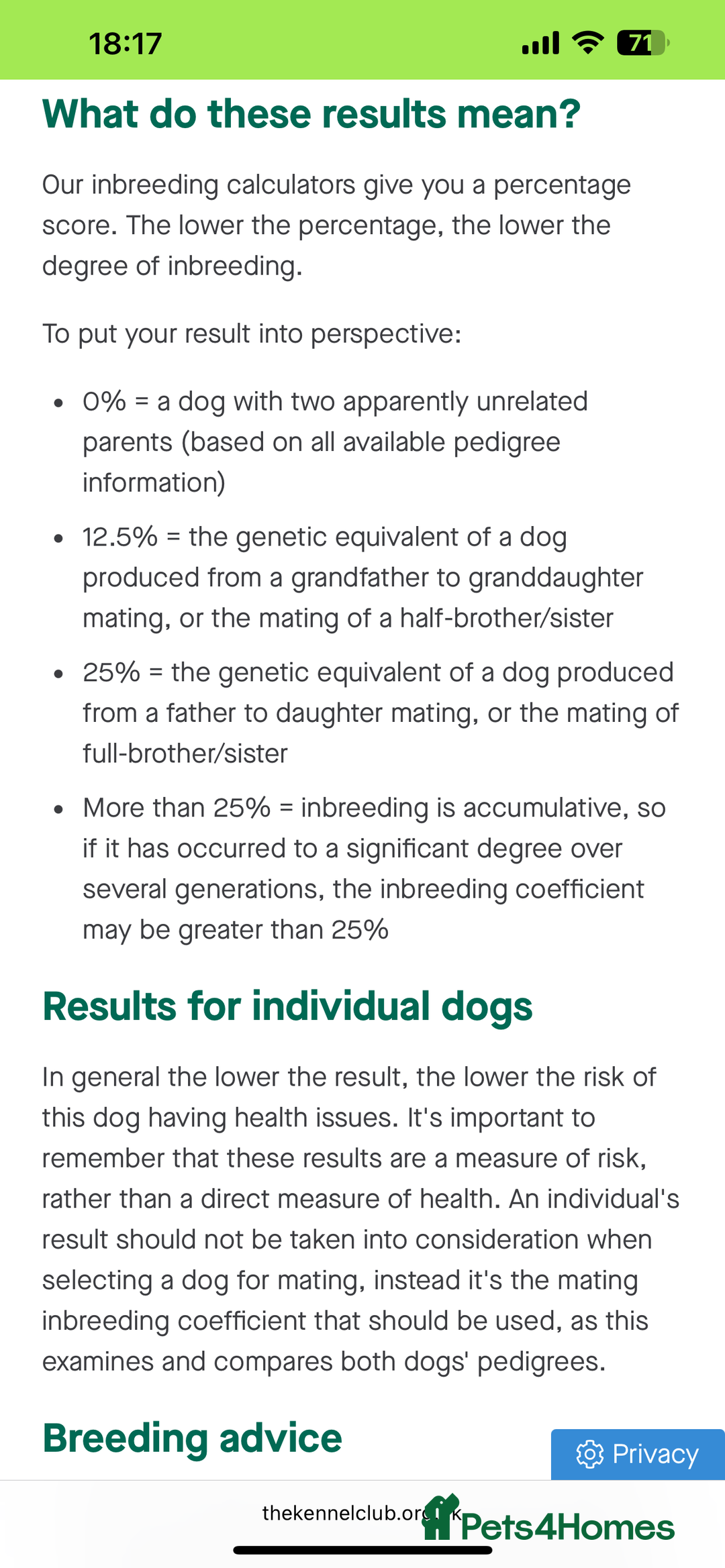 Toy Poodle dogs for sale: Adorable Deep Red Toy Poodle Puppies Available! 🐾 - Image 34