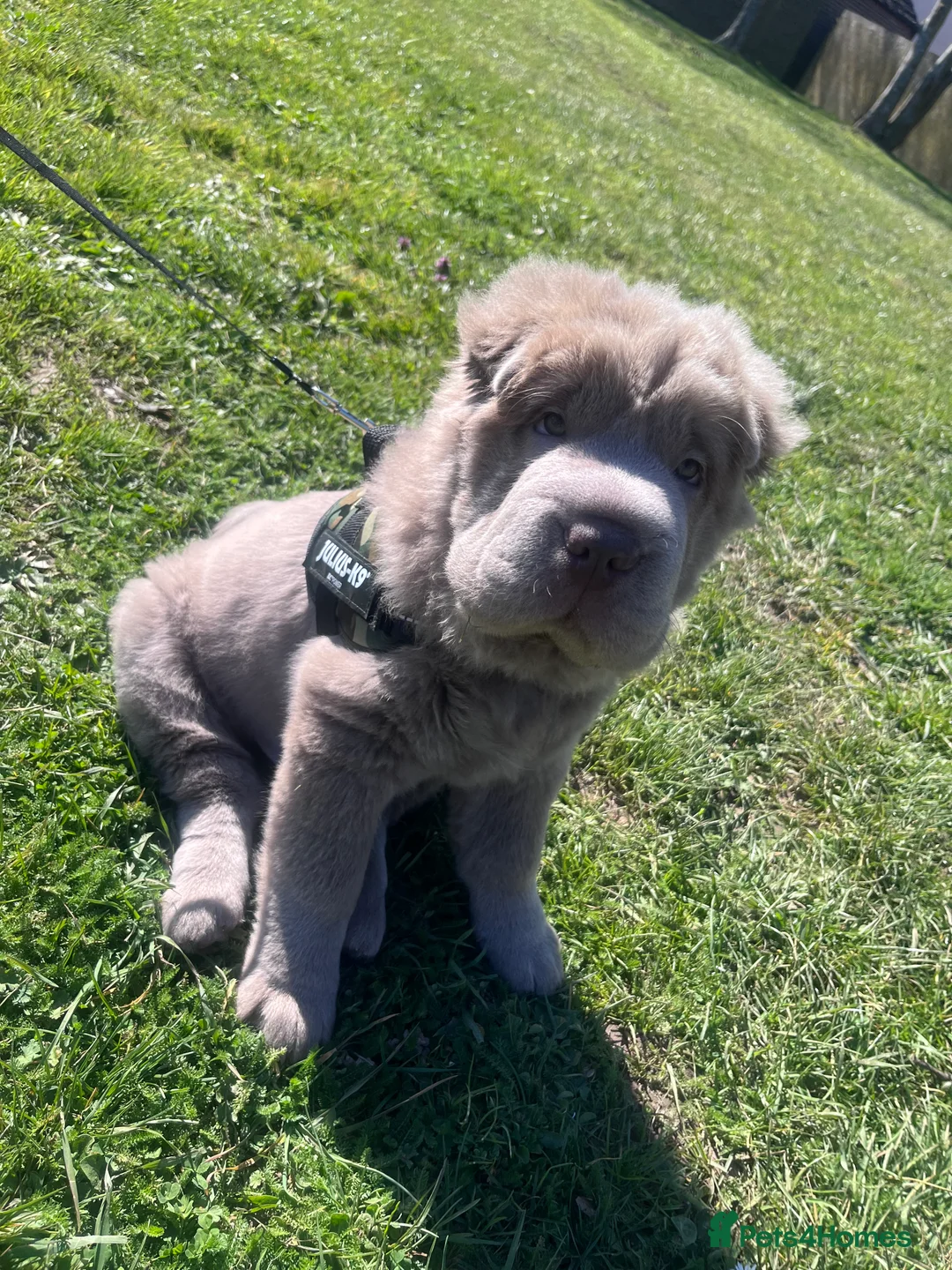 Gallery Image {{count}}