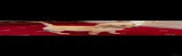 Golden Retriever dogs for sale: Golden Retriever puppies  - Advert 2
