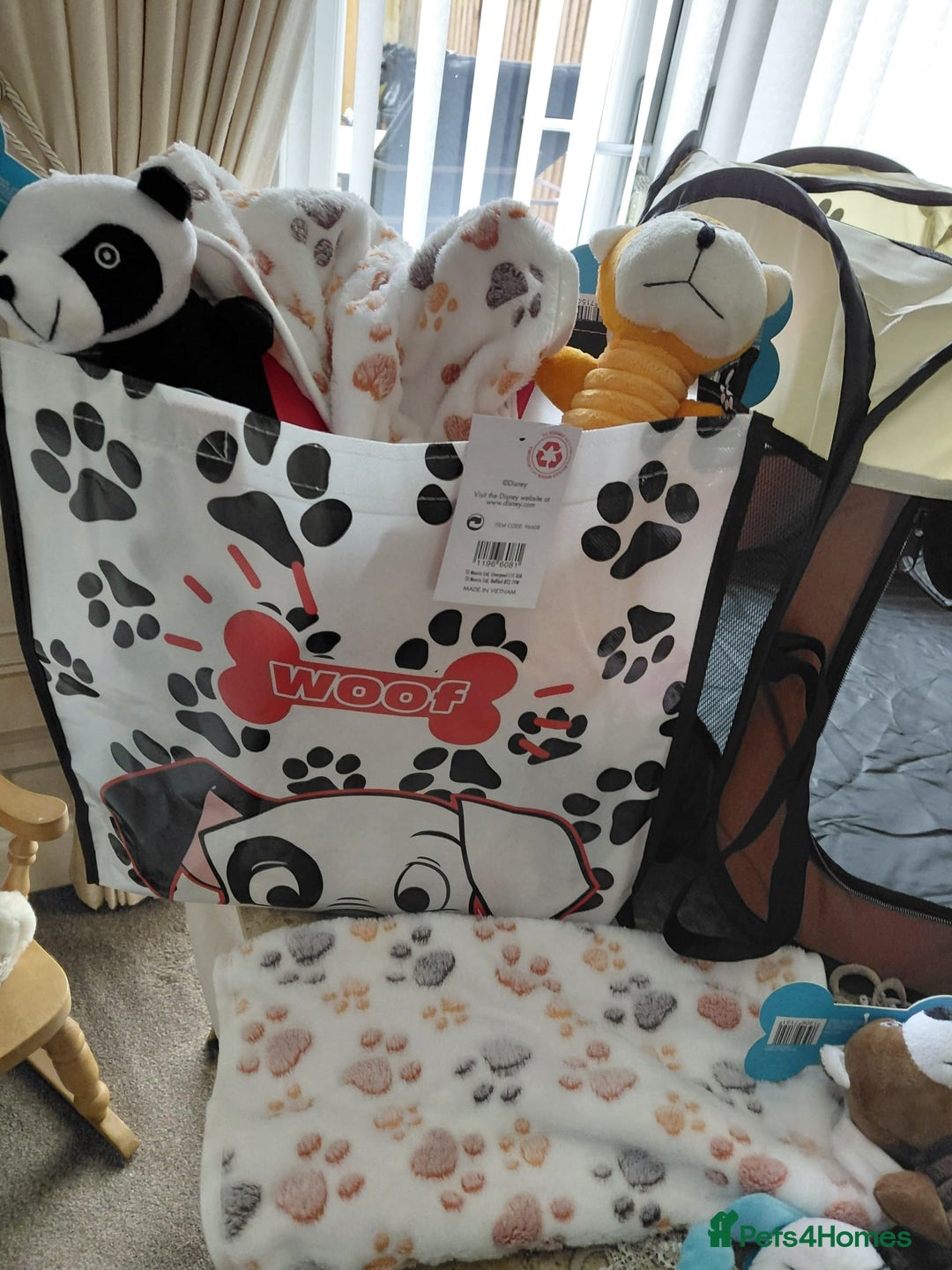 Jackapoo dogs for sale: Stunning Litter F1 JACKAPOO + Big Puppy Pack  - Image 17