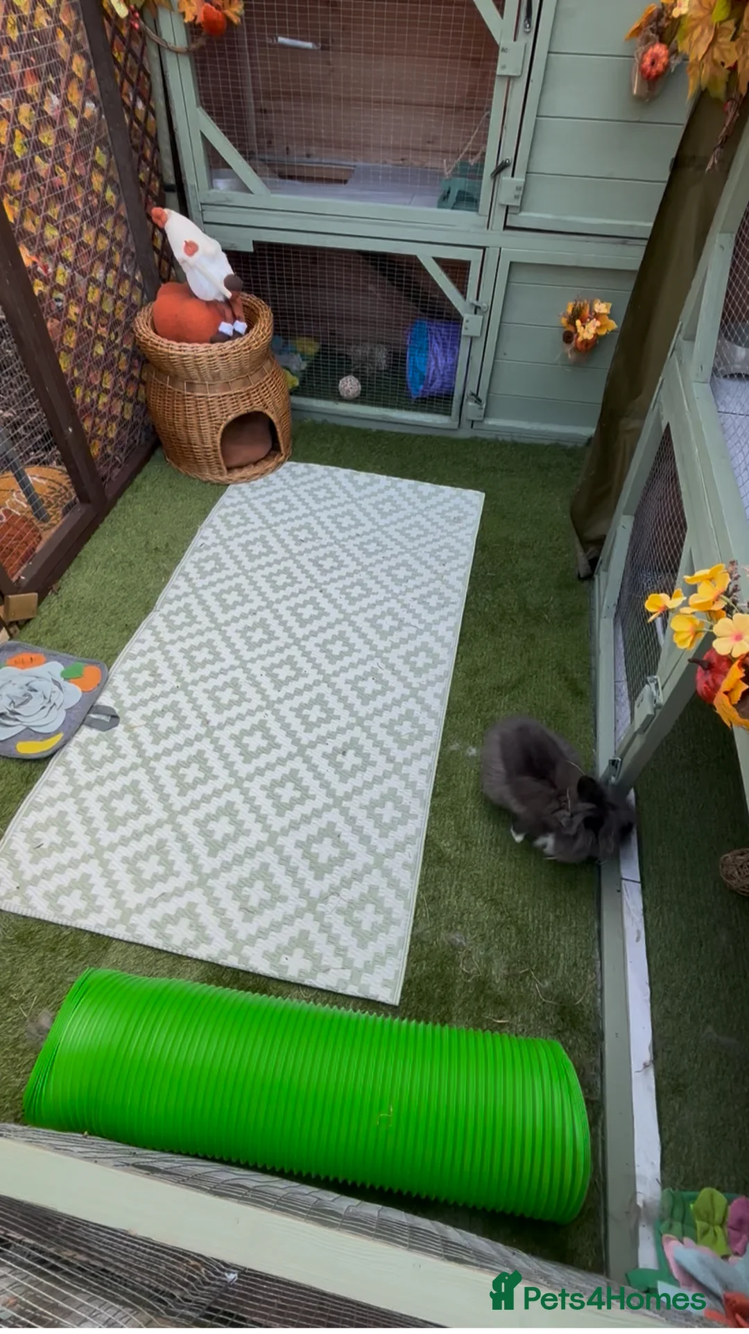 Gallery Image {{count}}